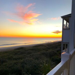 Meet your Posher, Hamilton